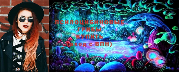 хмурый Алексин