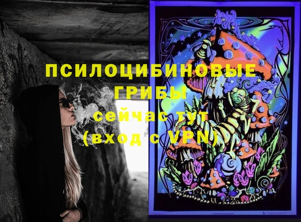 бутират Алексеевка