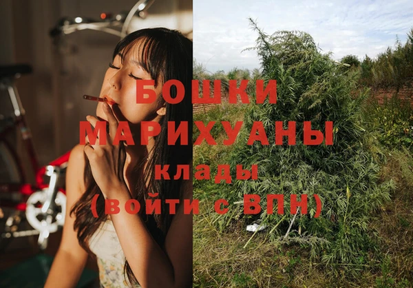 бошки Алзамай