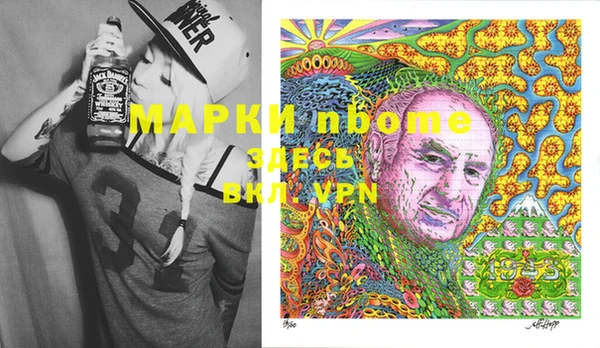 хмурый Алексин