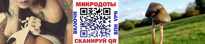 Псилоцибиновые грибы GOLDEN TEACHER  МЕГА ТОР  Дудинка  хочу  
