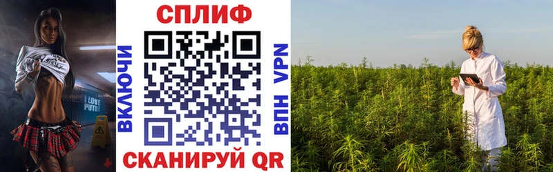 Конопля White Widow  Дудинка 
